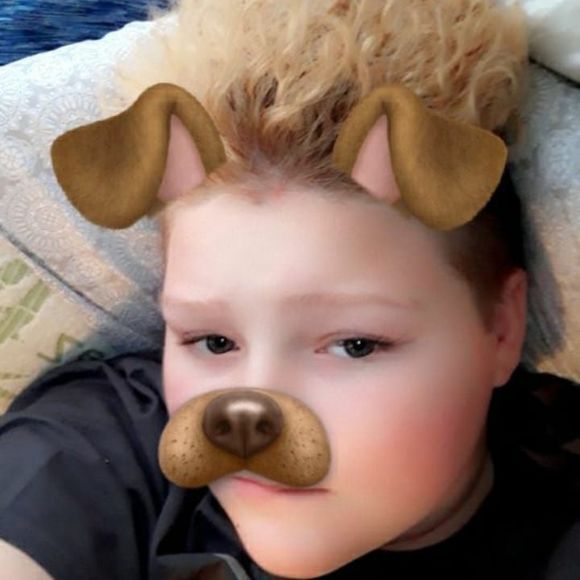 Meet your Posher, Joey - Picture 1 of 1